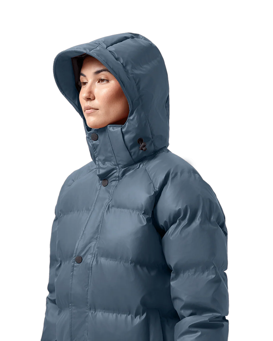 (04) Puffer - Image 3